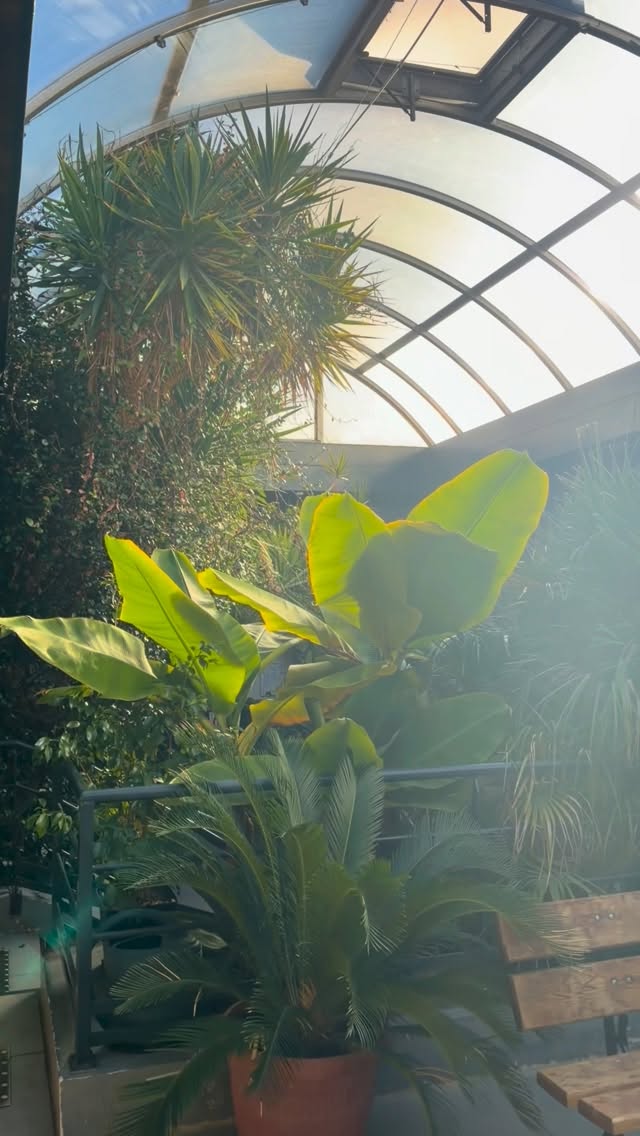 Fin d’une semaine de résidence à @espace_culturel_busserine 
Reconnaissante de composer la bande son de « Et ce fut comme un baiser », la nouvelle pièce de la @lovely_compagnie sur les violences conjugales. C’est une première pour moi de participer à une œuvre théâtrale en tant qu’interprète sur scène et aussi autrice/compositrice. Reconnaissante car grâce à cette confiance je saute enfin le pas du beatmaking 🙏🏽 merci pour la confiance @renee_loster @manonmanontututududu  @tatiactrice 
La force sorore 🤌🏽
Le travail continue et 2027 la première si la moula suit!